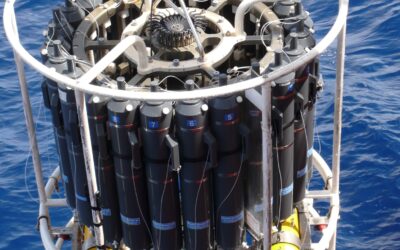 El CTD 2 – test Plantilla Instr