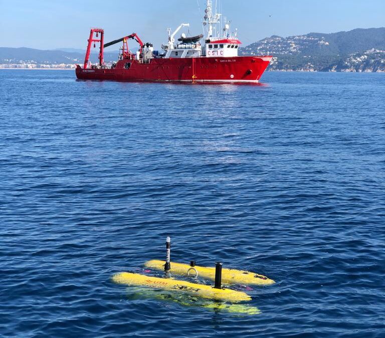 Vehículos Autónomos Submarinos (AUV)